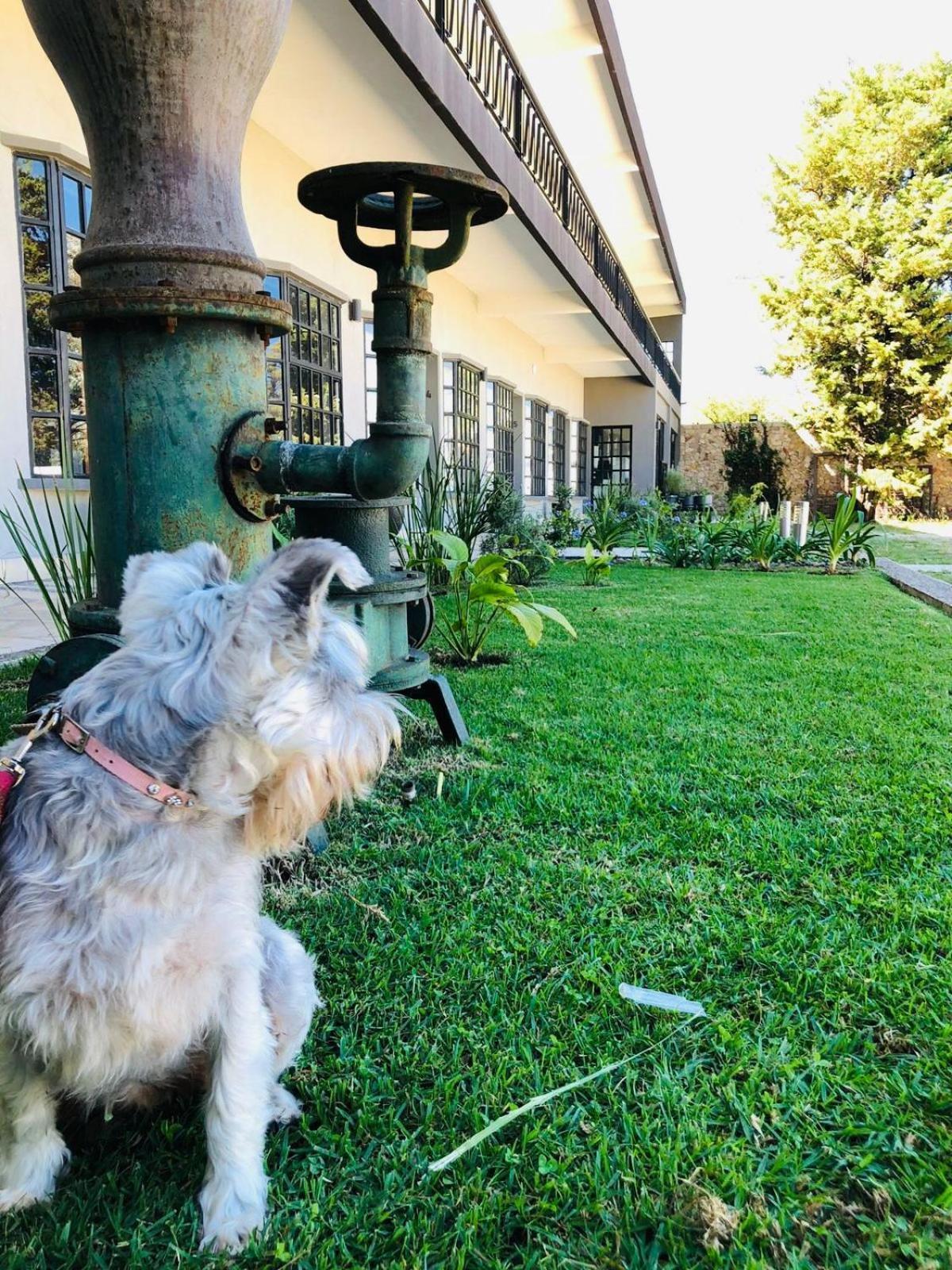 Hotel Rocaval San Cristóbal de Las Casas מראה חיצוני תמונה